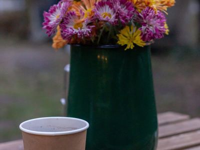 Macro shot of sunlight falling on a wooden table