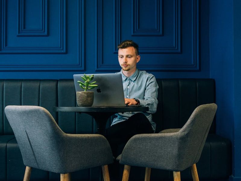 Minimalist bright room with a single plant for focus